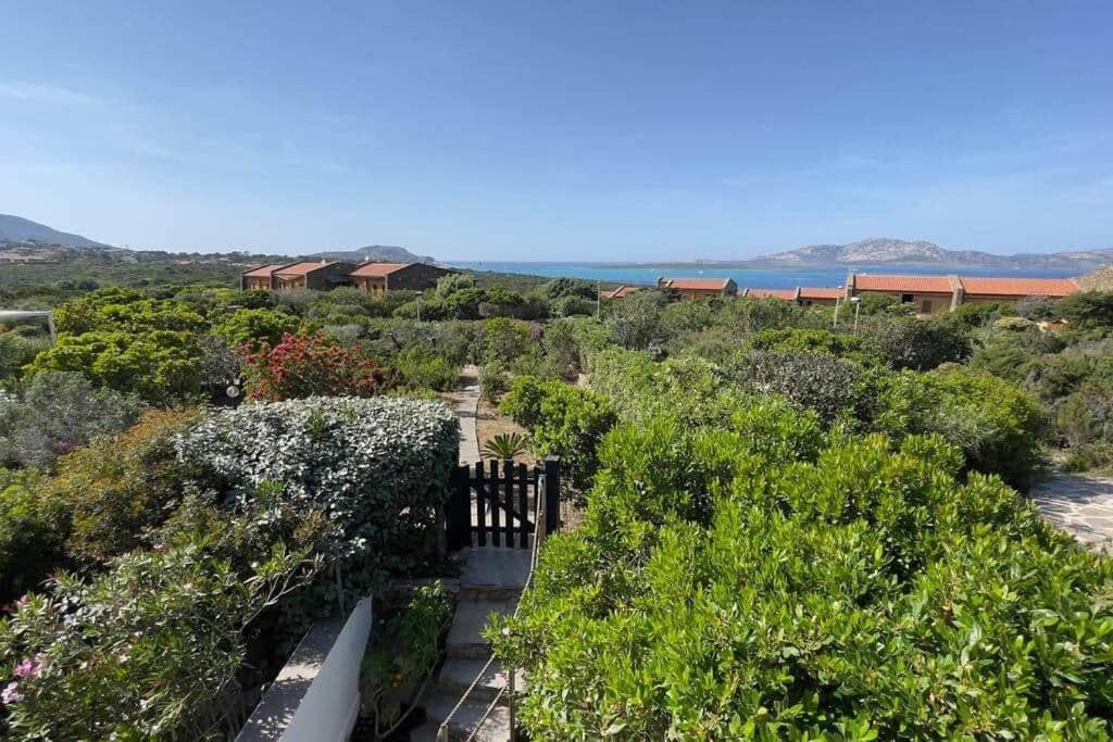 Terrazza Vista Mare Stintino Lejlighed Eksteriør billede